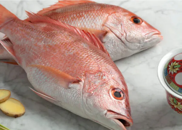 Pargo Mediano